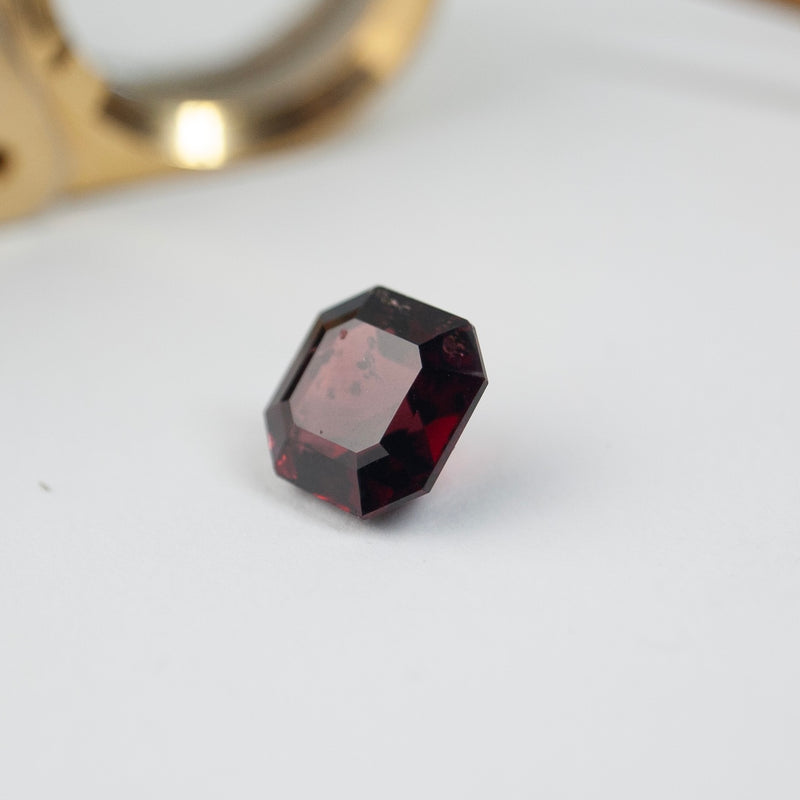 Garnet